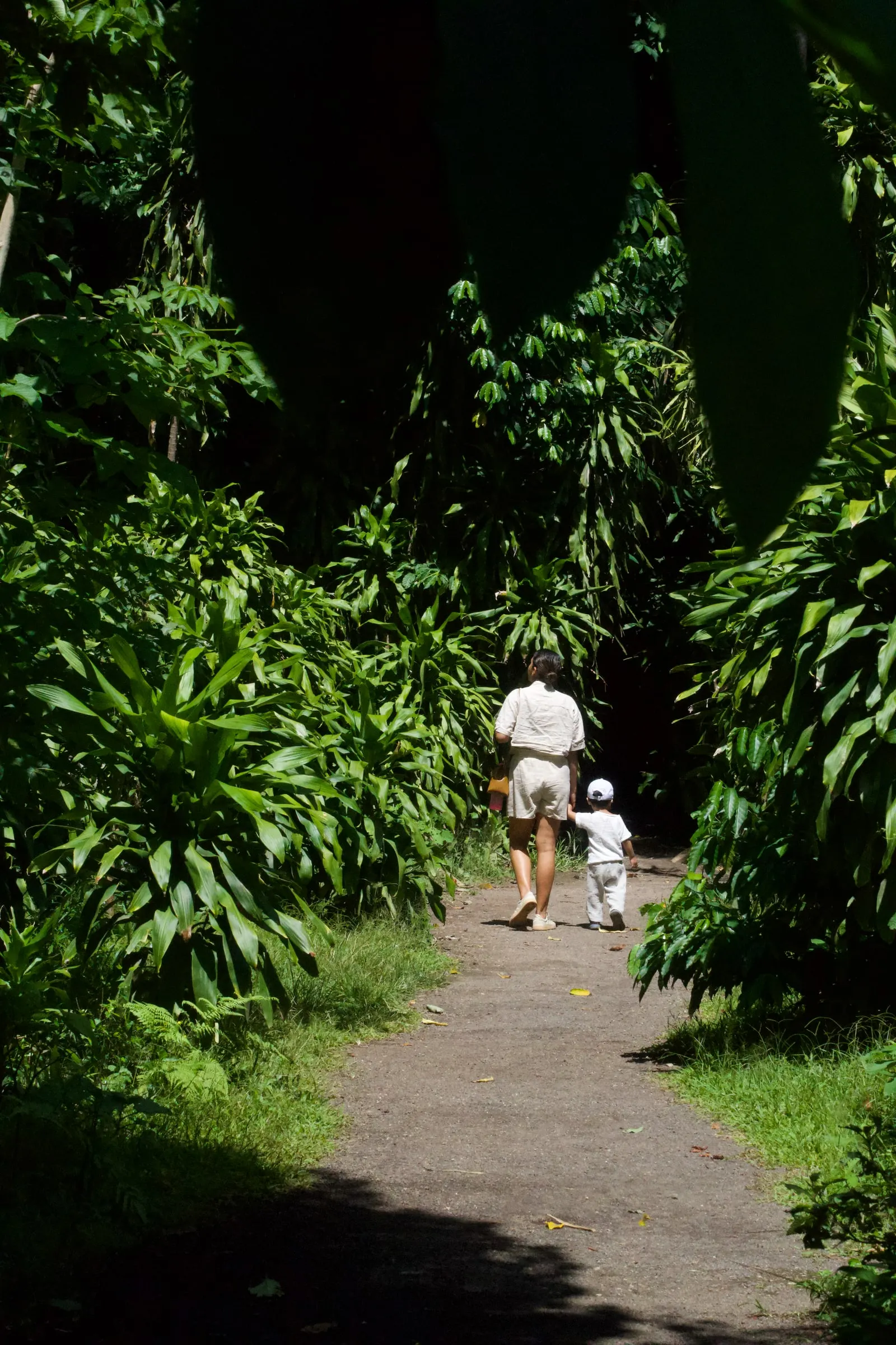 An adult and a small child walking a shaded gravel path between dense tropical planting at the Jardín Botánico La Laguna