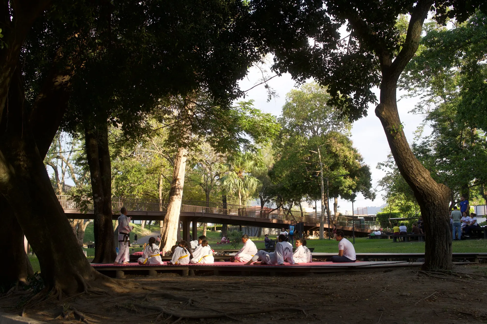 Families and a martial-arts class under mature trees in Parque Cuscatlán, San Salvador
