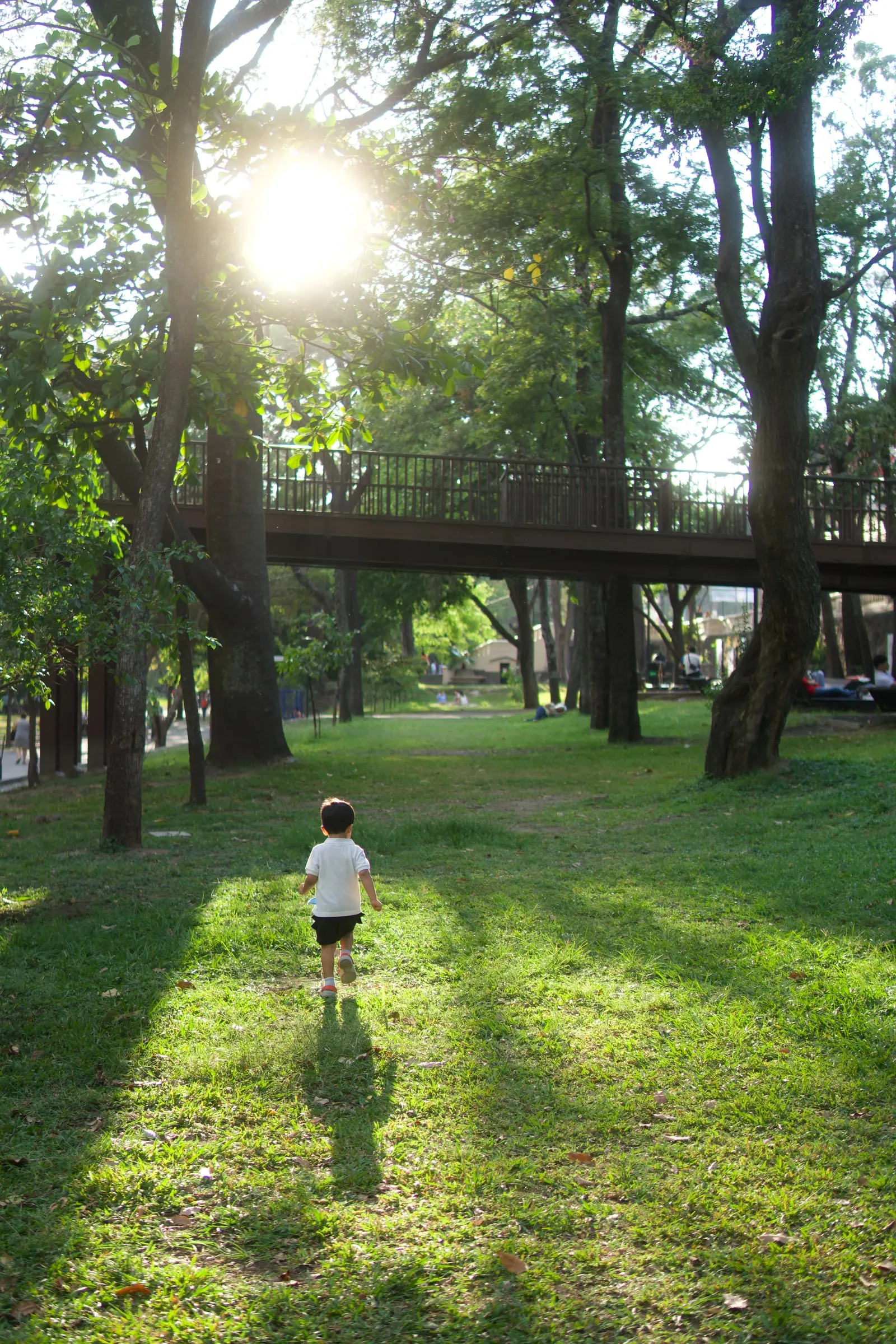 A child running across the grass under tall trees, with the raised walkway crossing overhead