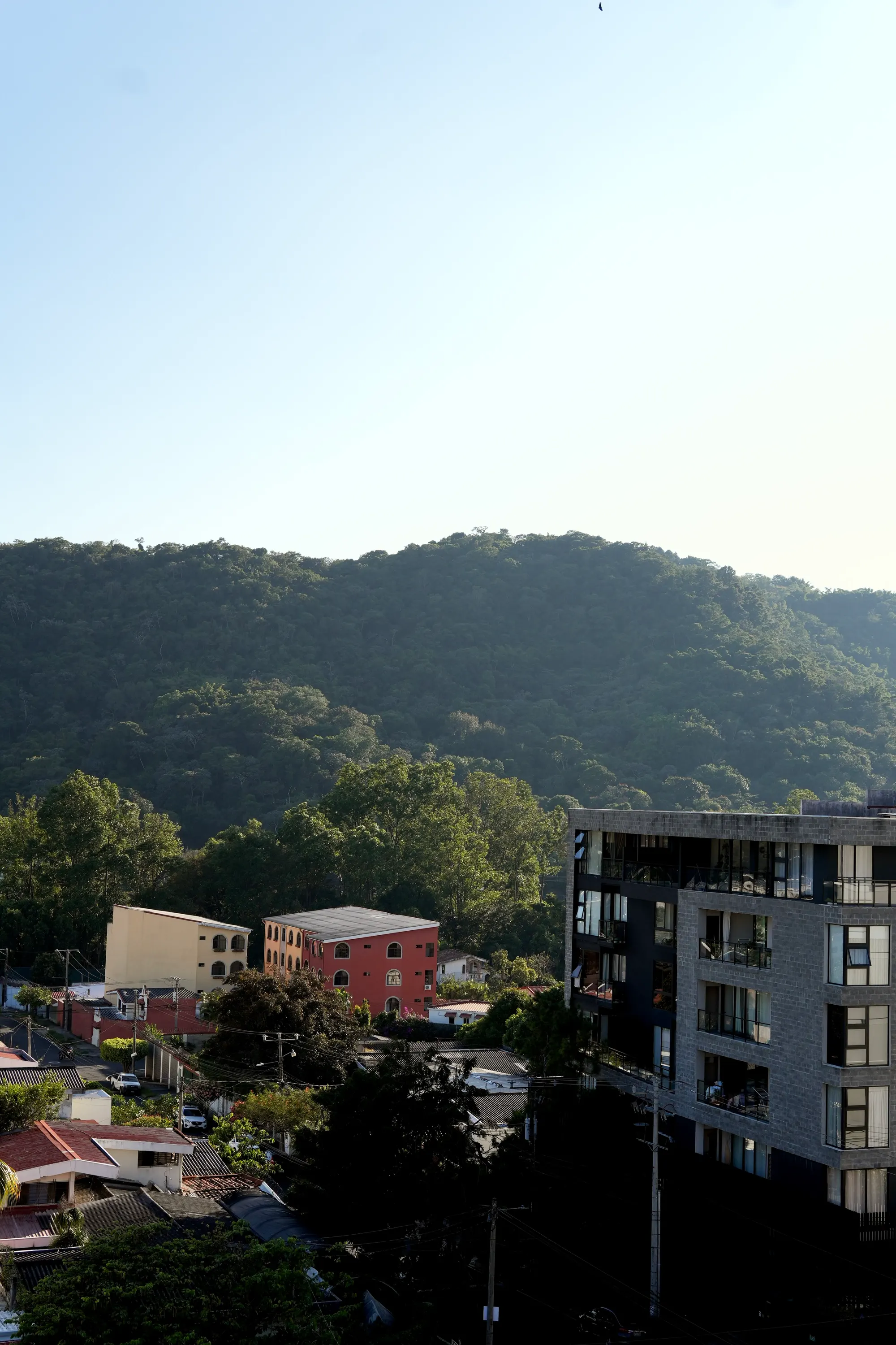 Santa Tecla rooftops below the forested Cordillera del Bálsamo